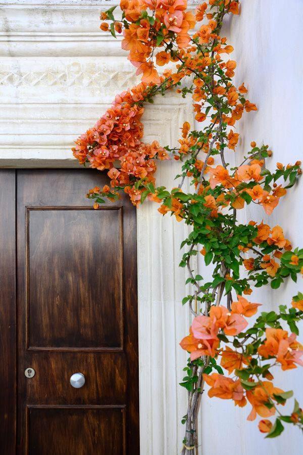Il Giardino Bed and Breakfast Grottaglie Buitenkant foto