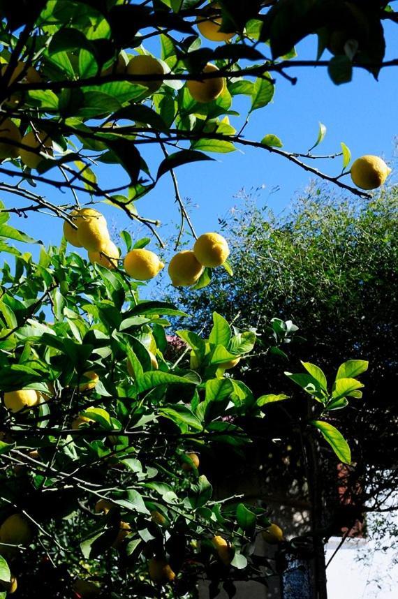Il Giardino Bed and Breakfast Grottaglie Buitenkant foto